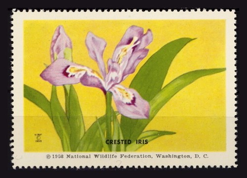 National wildlife federation - national,
